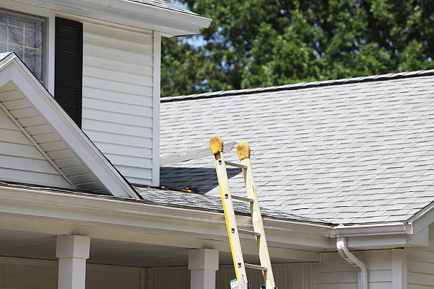 Best Steel Siding Installation  in San Pablo, CA
